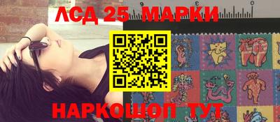 шишки Ставрополь