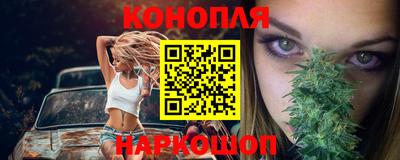 шишки Ставрополь
