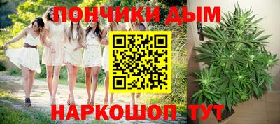 шишки Ставрополь